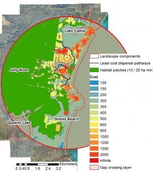 habitat connectivity analysis
